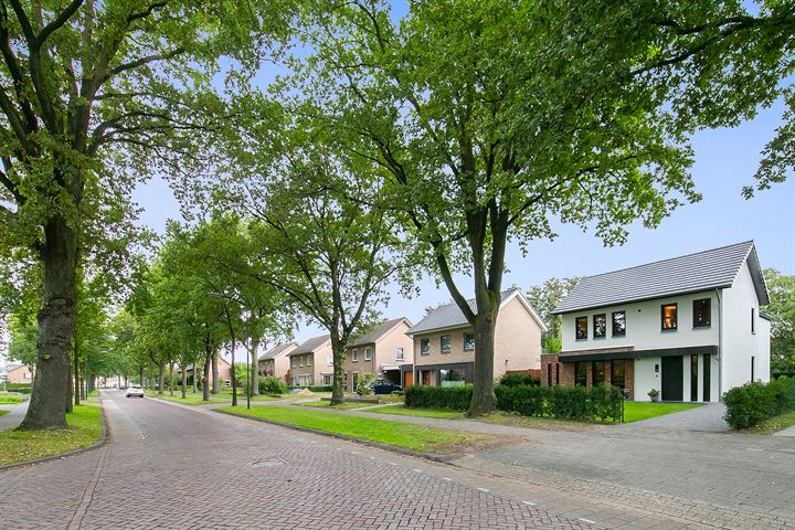 Bekijk foto 52 van Koppelstraat 26