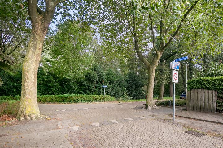 Bekijk foto 36 van Siemensstraat 47