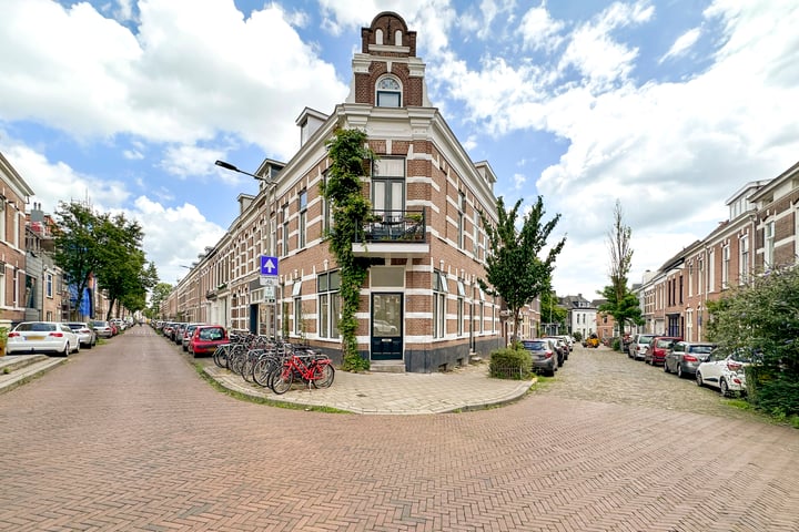 Sloetstraat 203