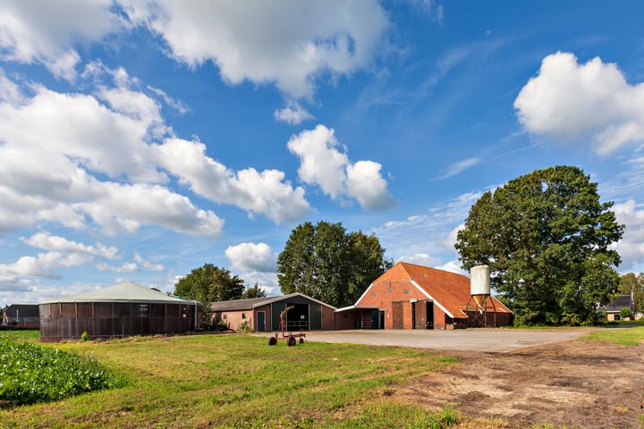 Bekijk foto 3 van Zuiderdiep 94