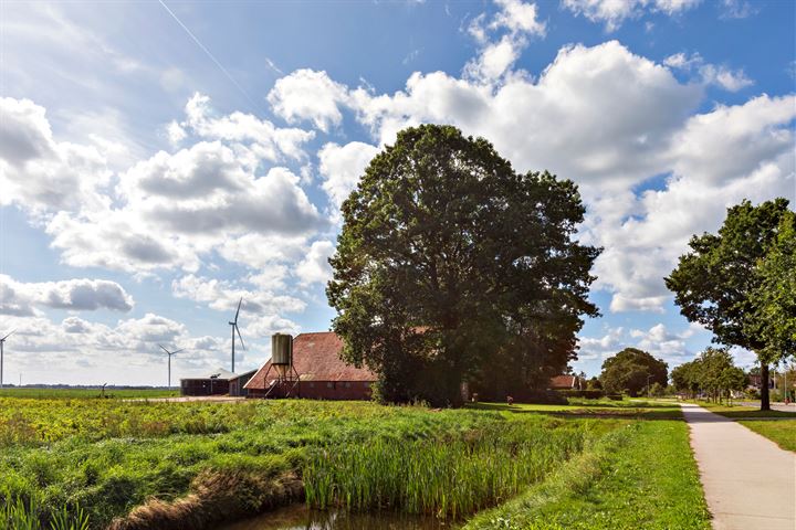 Bekijk foto 9 van Zuiderdiep 94