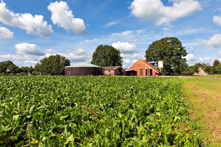 Bekijk foto 46 van Zuiderdiep 94