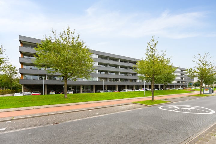 Grootzeil 344