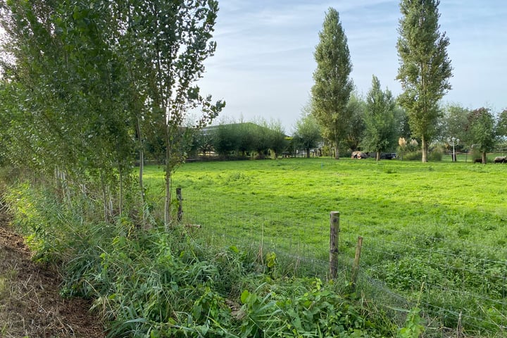 Bekijk foto 3 van Noord Zuidweg 9-01