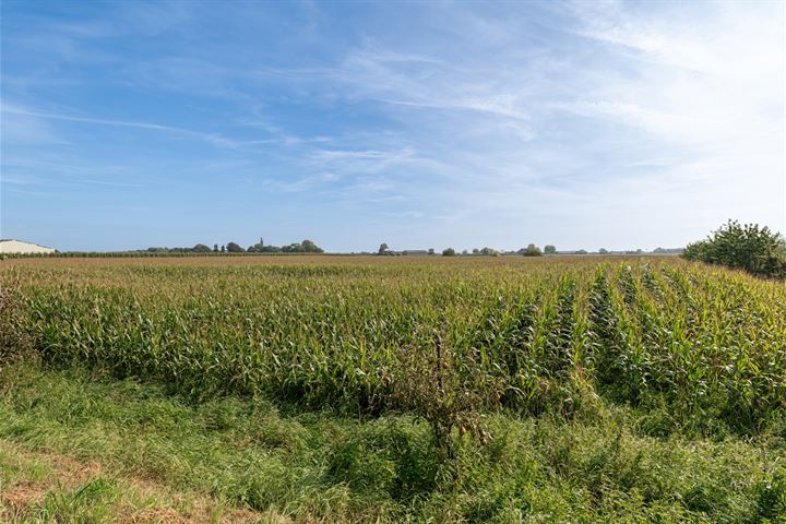 Bekijk foto 50 van Lingedijk 147-A