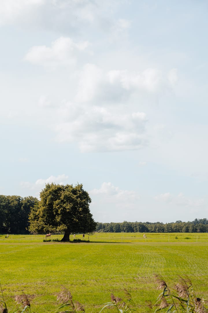 Foto 18 van Nieuw-Loosdrechtsedijk 7