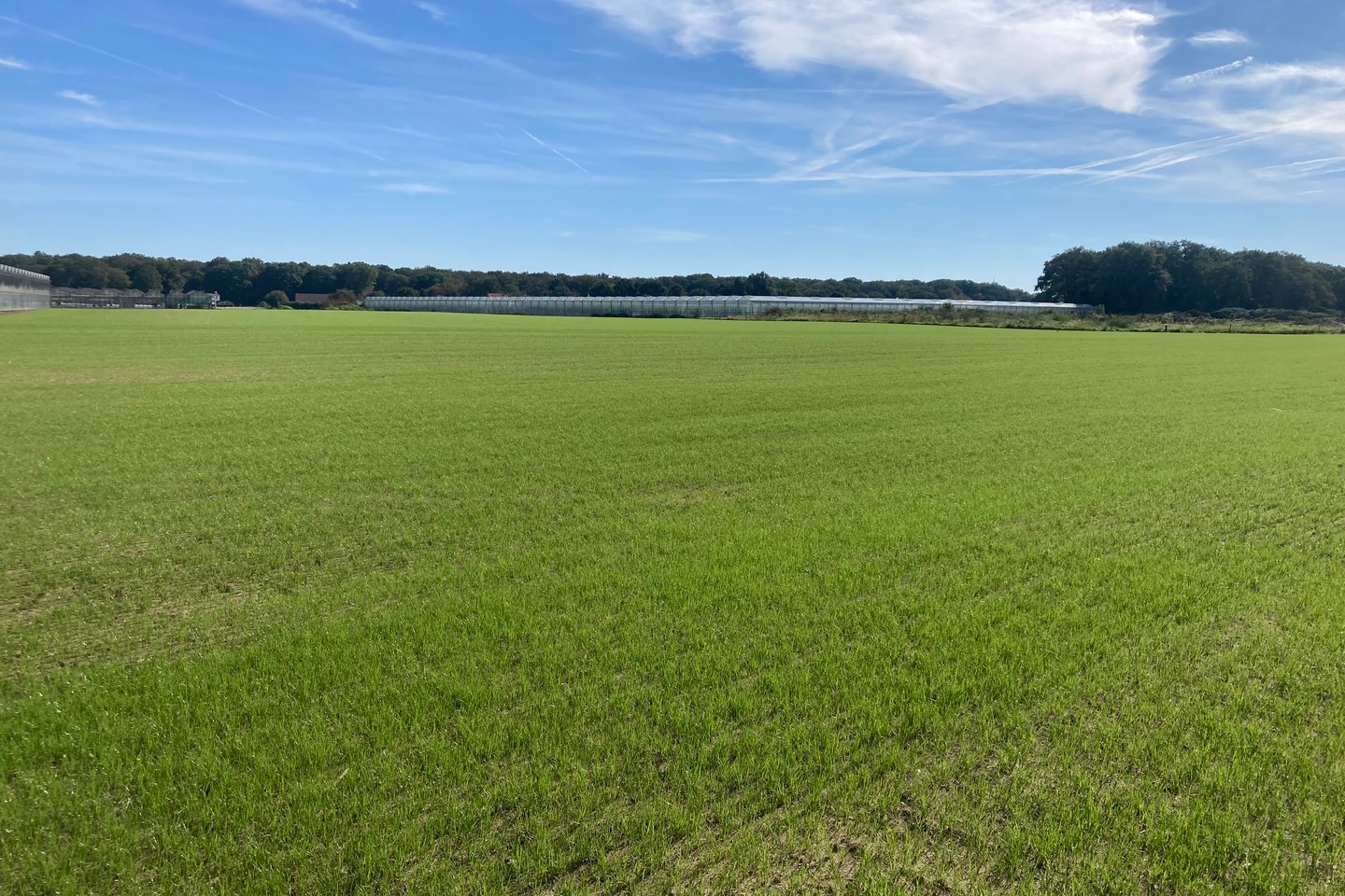 Bekijk foto 4 van Genooierweg