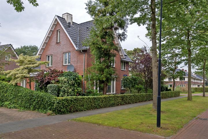 Bekijk foto 51 van Lisdoddelaan 1