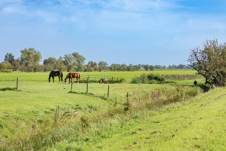 Bekijk foto 6 van Dorpsweg 139