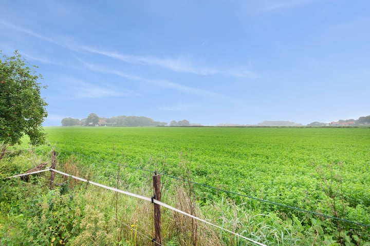 Bekijk foto 5 van Nieuwe Kraaijertsedijk 12