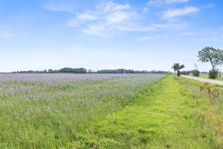 Bekijk foto 48 van Warfhuisterweg 17