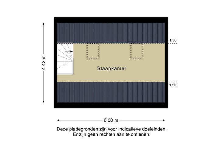 Bekijk foto 42 van Pasteurlaan 88