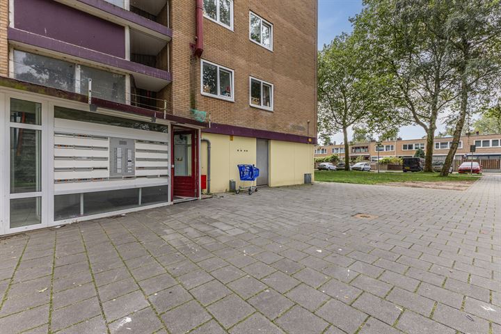 Bekijk foto 37 van Thijssestraat 167