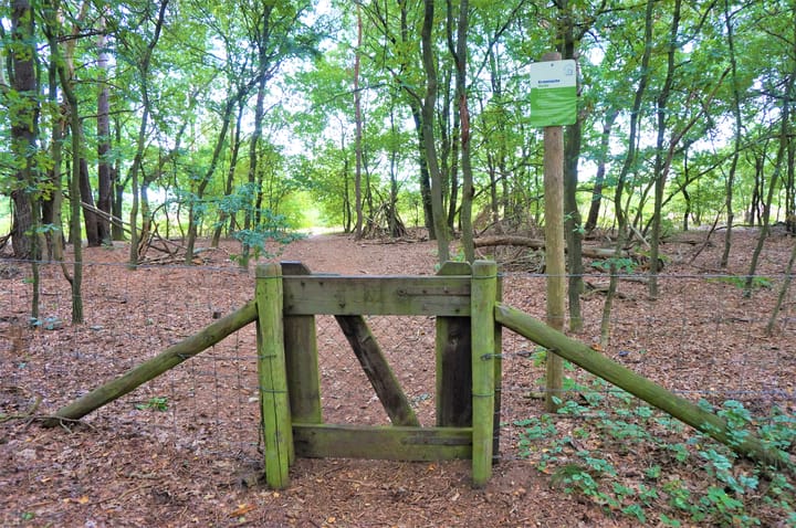 Foto 22 van Tonnenberg 53-K13