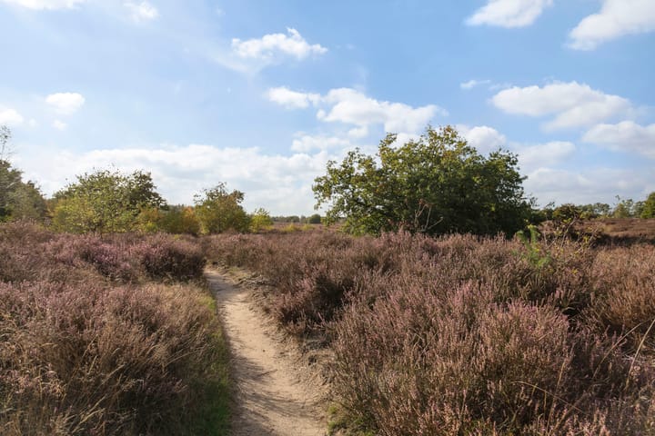 Foto 23 van Tonnenberg 53-K13