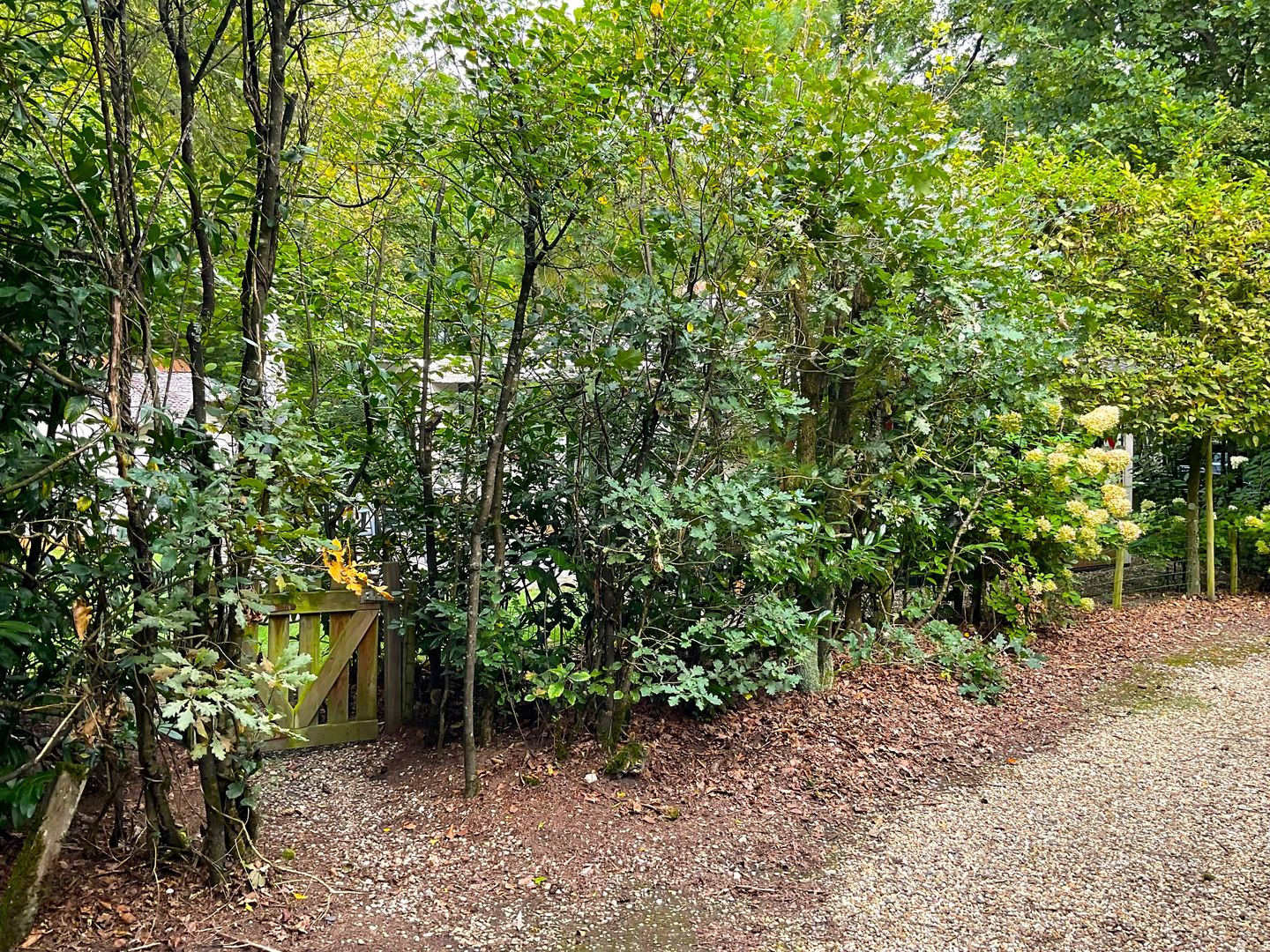 Foto 19 van Tonnenberg 53-K13