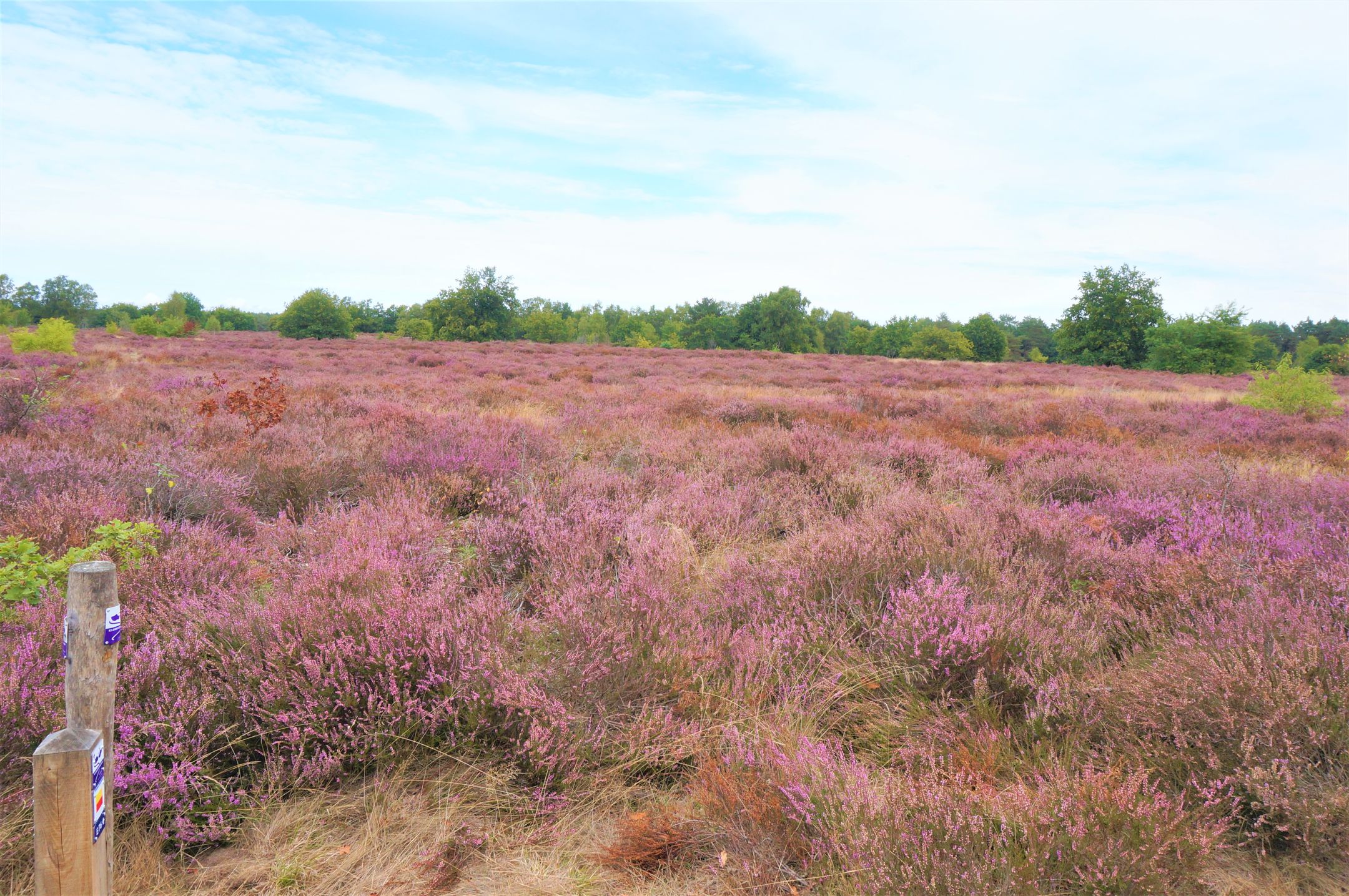 Foto 24 van Tonnenberg 53-K13