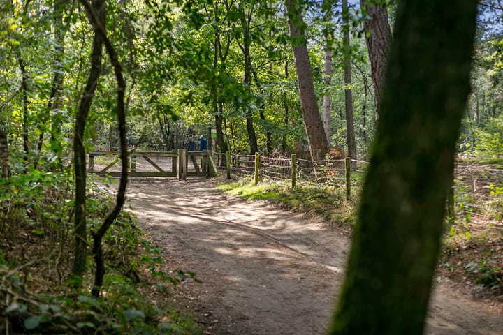 Foto 25 van Tonnenberg 53-K13