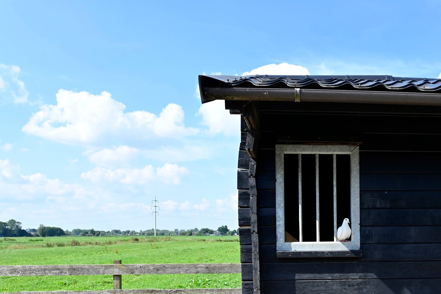 Foto 49 van Vlietskade 1072