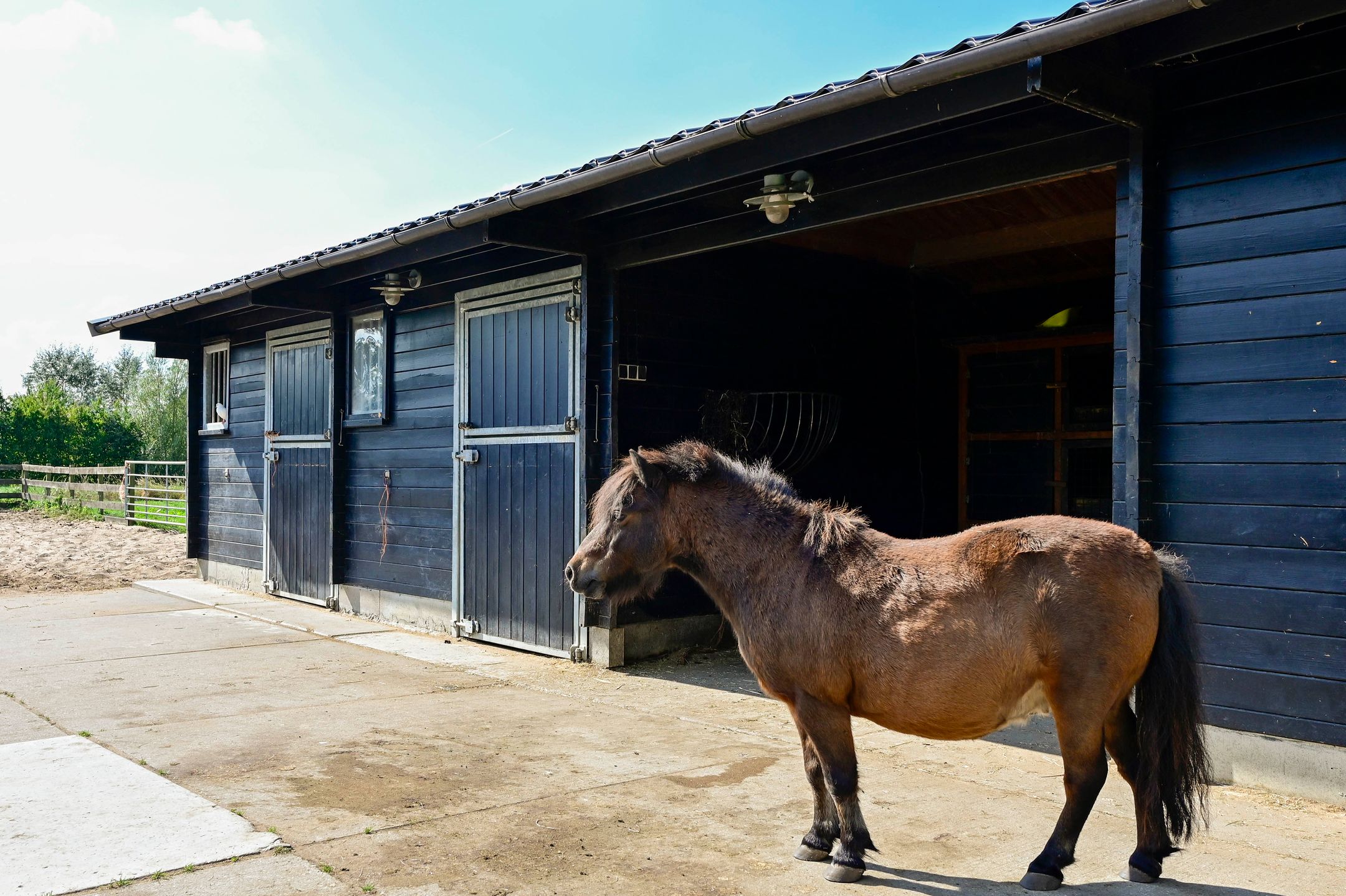 Foto 48 van Vlietskade 1072