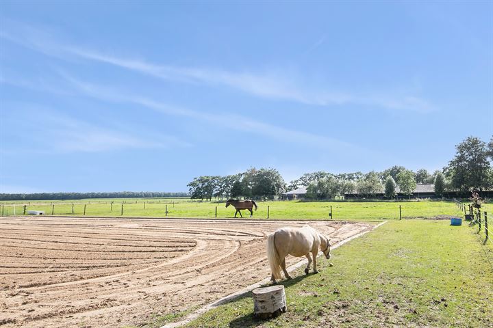 Bekijk foto 51 van Deurze 31