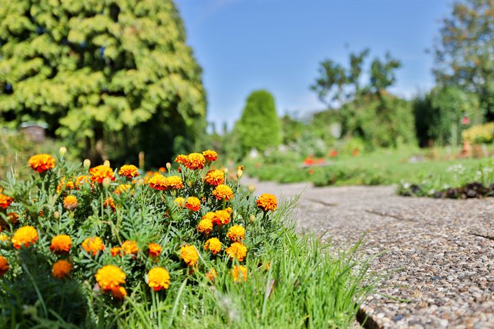 Bekijk foto 46 van Oude Maasdijk 37