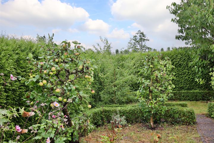 Bekijk foto 57 van Oude Maasdijk 37