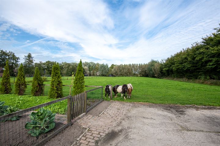 Bekijk foto 39 van Laakweg 108