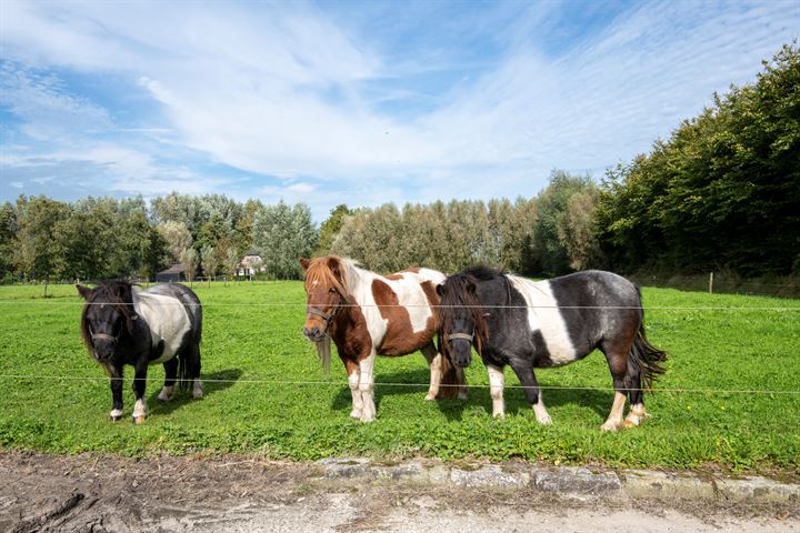 Bekijk foto 40 van Laakweg 108