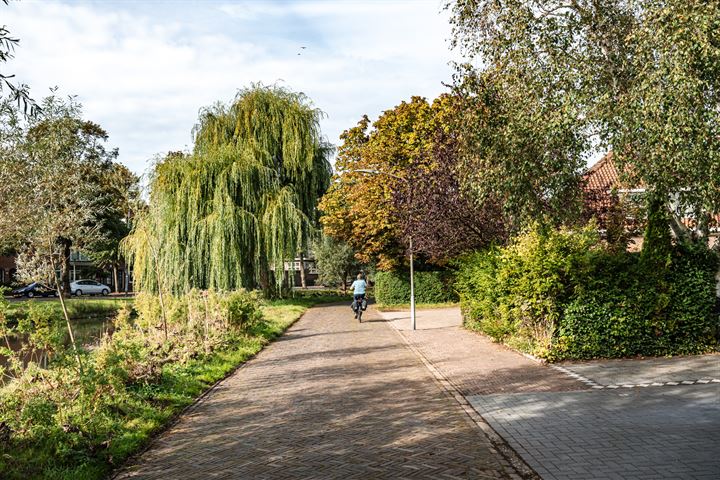 Bekijk foto 44 van Zomerkade 297