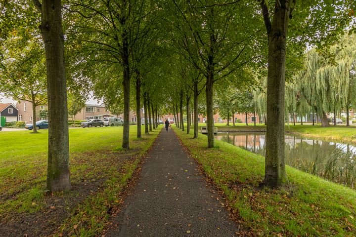 Bekijk foto 40 van van Cittersstraat 26