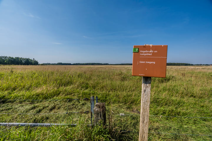 Bekijk foto 50 van Oudeweg 1