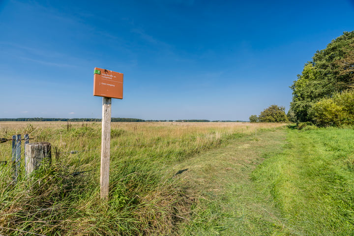 Bekijk foto 49 van Oudeweg 1