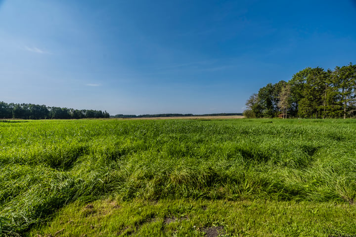 Bekijk foto 48 van Oudeweg 1