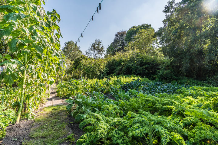 Bekijk foto 47 van Oudeweg 1