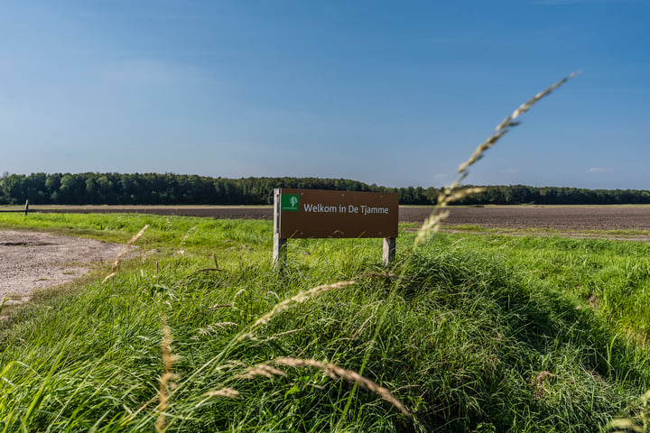 Bekijk foto 53 van Oudeweg 1