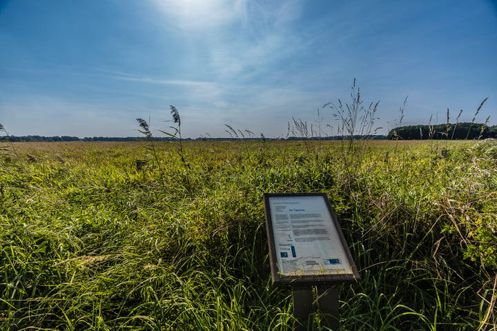 Bekijk foto 55 van Oudeweg 1