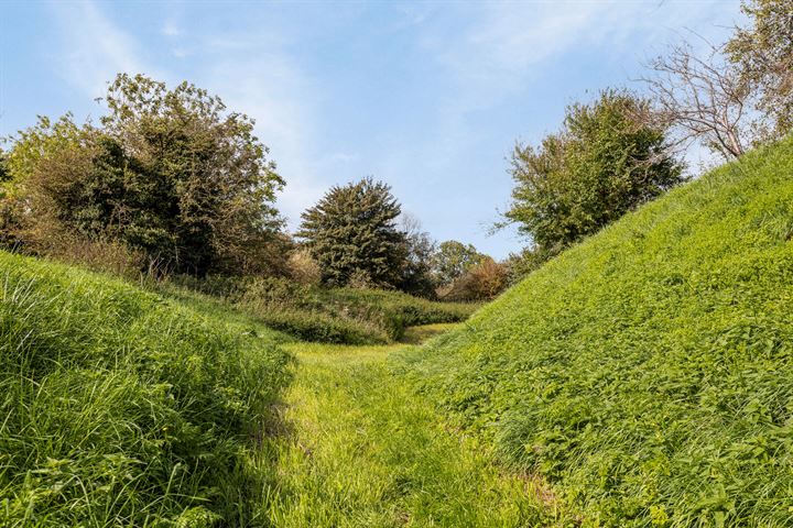 Bekijk foto 49 van Rijksstraatweg 13