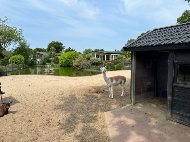 Foto 14 van Molengroet 1-728