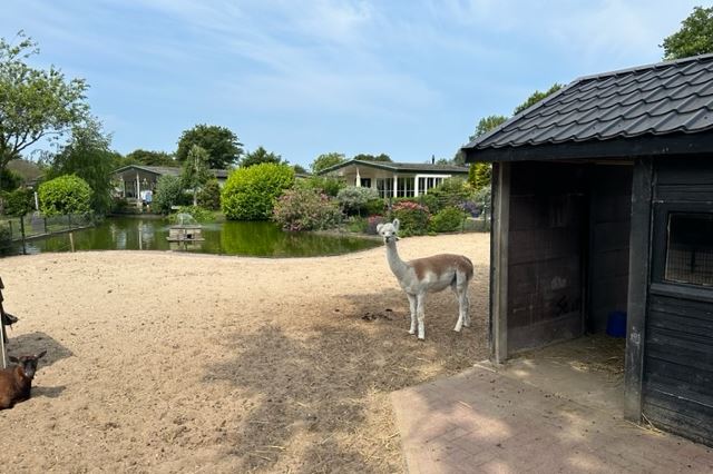 Bekijk foto 14 van Molengroet 1-728