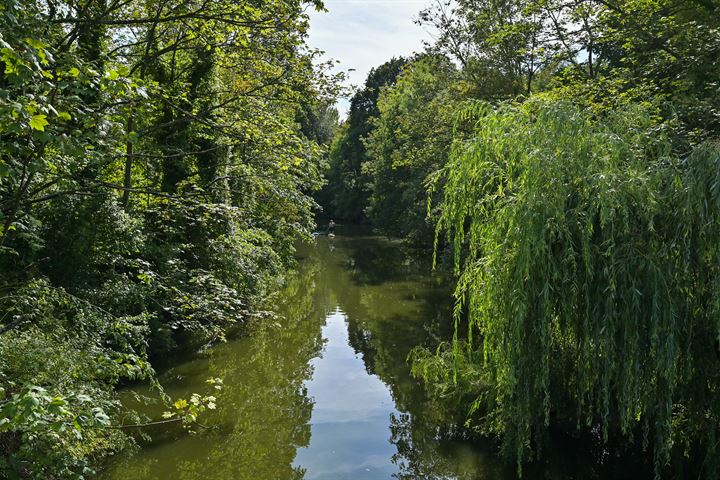 Bekijk foto 32 van Nieuwe Parklaan 8-A