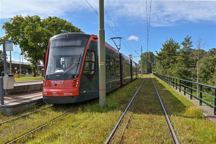 Bekijk foto 30 van Nieuwe Parklaan 8-A