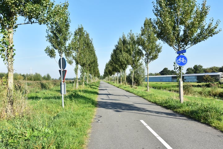 Bekijk foto 37 van Noordersingel 171