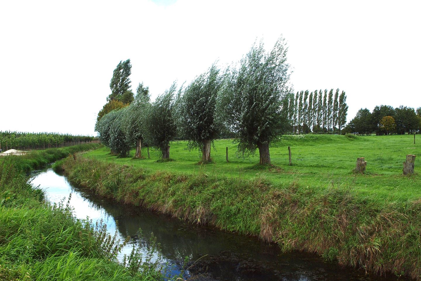 Bekijk foto 2 van Bredestraat-Noord