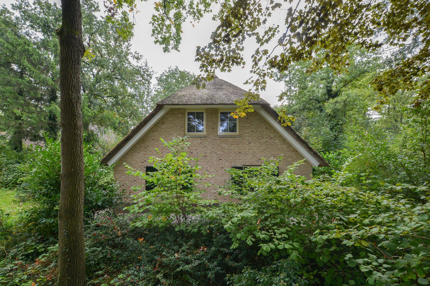 Foto 4 van Buinerweg 8-303