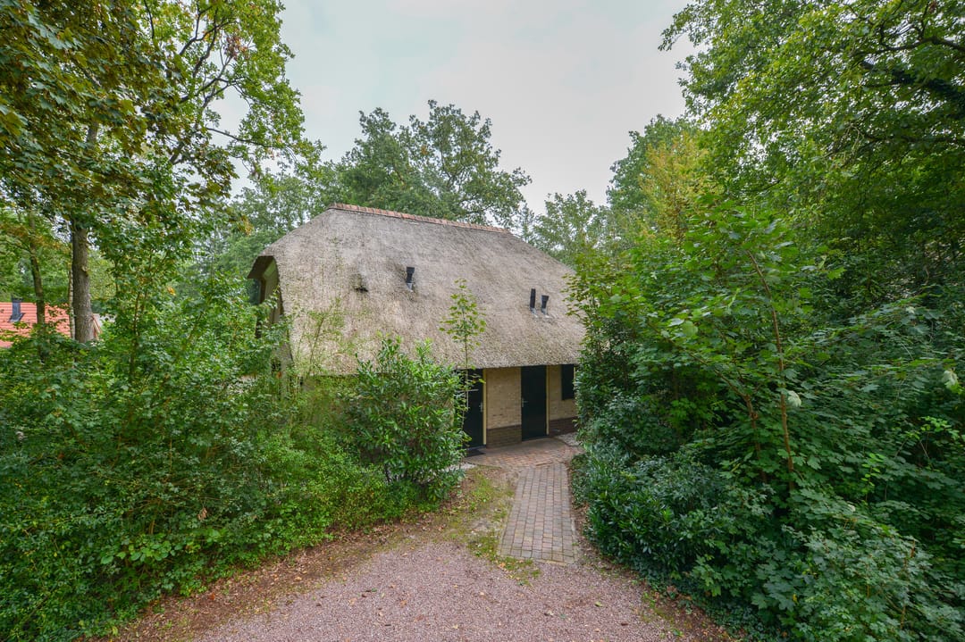 Foto 2 van Buinerweg 8-303