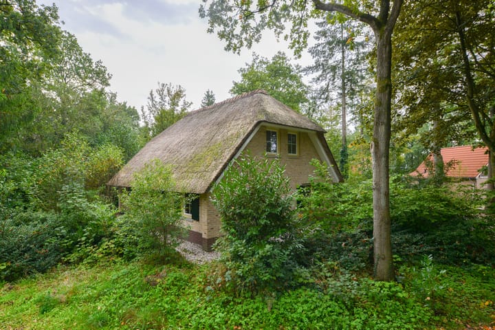 Foto 3 van Buinerweg 8-303