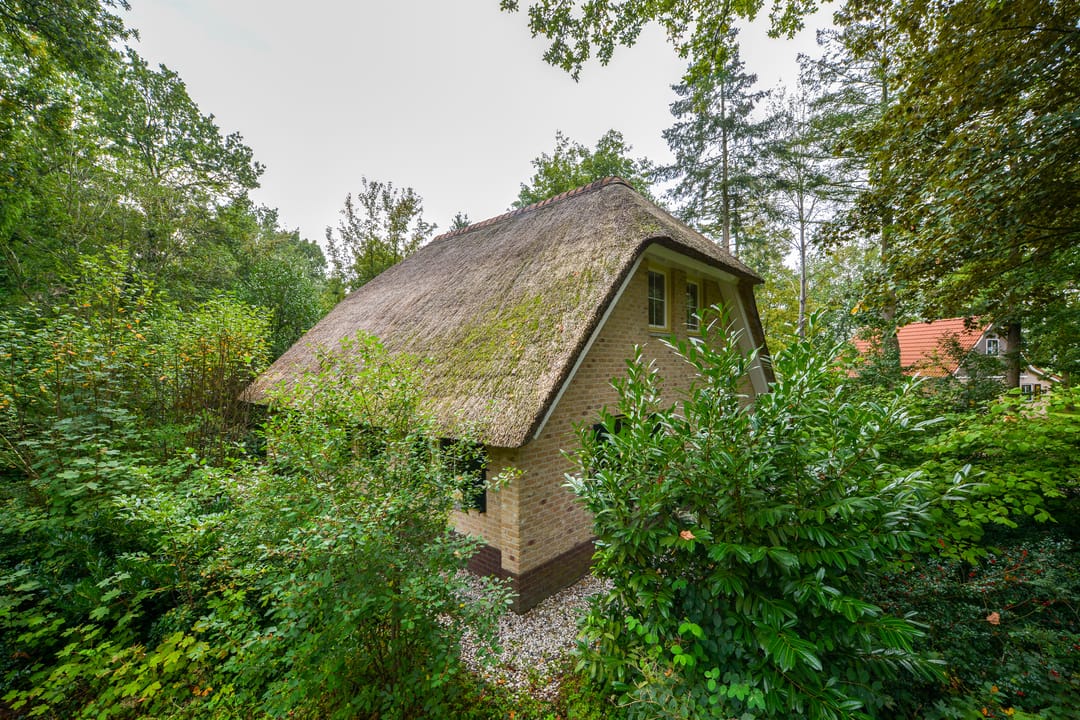 Foto 31 van Buinerweg 8-303