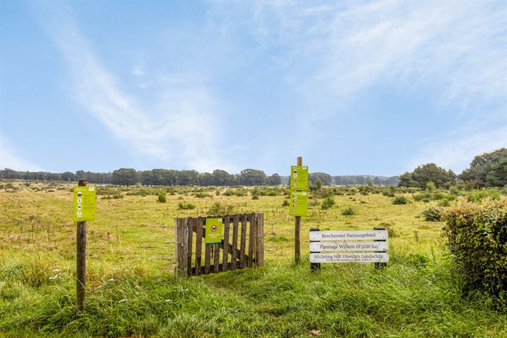 Bekijk foto 35 van Zwijnsbergen 41