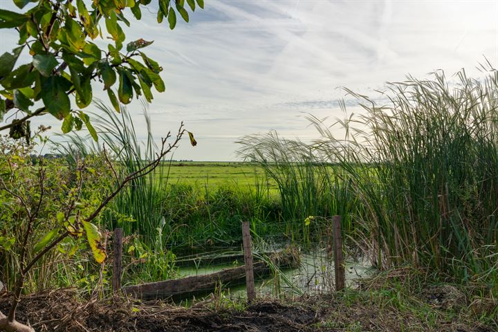 Bekijk foto 18 van Dorpsweg Ransdorp 42